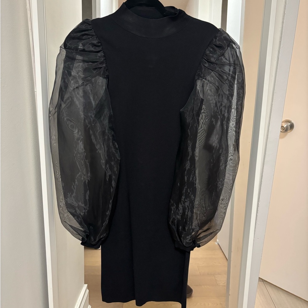 Nordstrom Black Dress with Sheer Puff Sleeves
